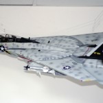 The Spotcat!