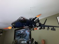 IMG_1906.jpeg
