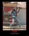 aim.jpg