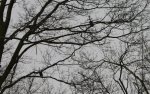 IMG_0735.jpg