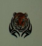 tiger waterslide.jpg