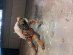 20120814_110037.jpg