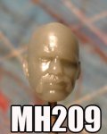 MH209A.jpg