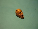 DSC09548.jpg
