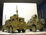 MRAP1-2.jpg
