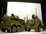 MRAP1-3.jpg
