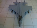 04082010295smlpic.jpg