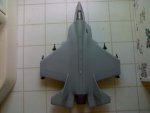 04082010293smlpic.jpg