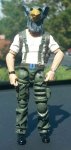 hawk_scale.jpg