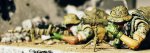 sniper spotter.jpg sniper spotter.jpg