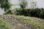 IMG_7377.JPG