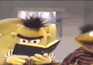 BertWhat.gif