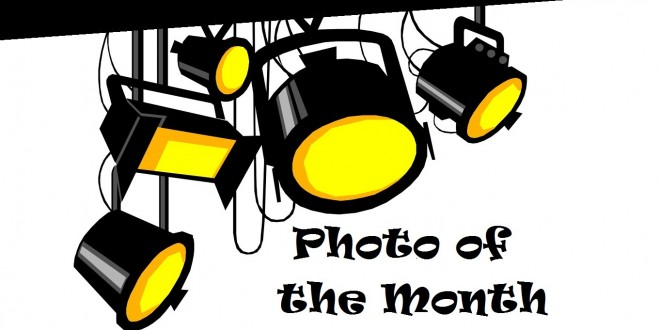 Photo of the Month: Feb 2015 Winner Announced